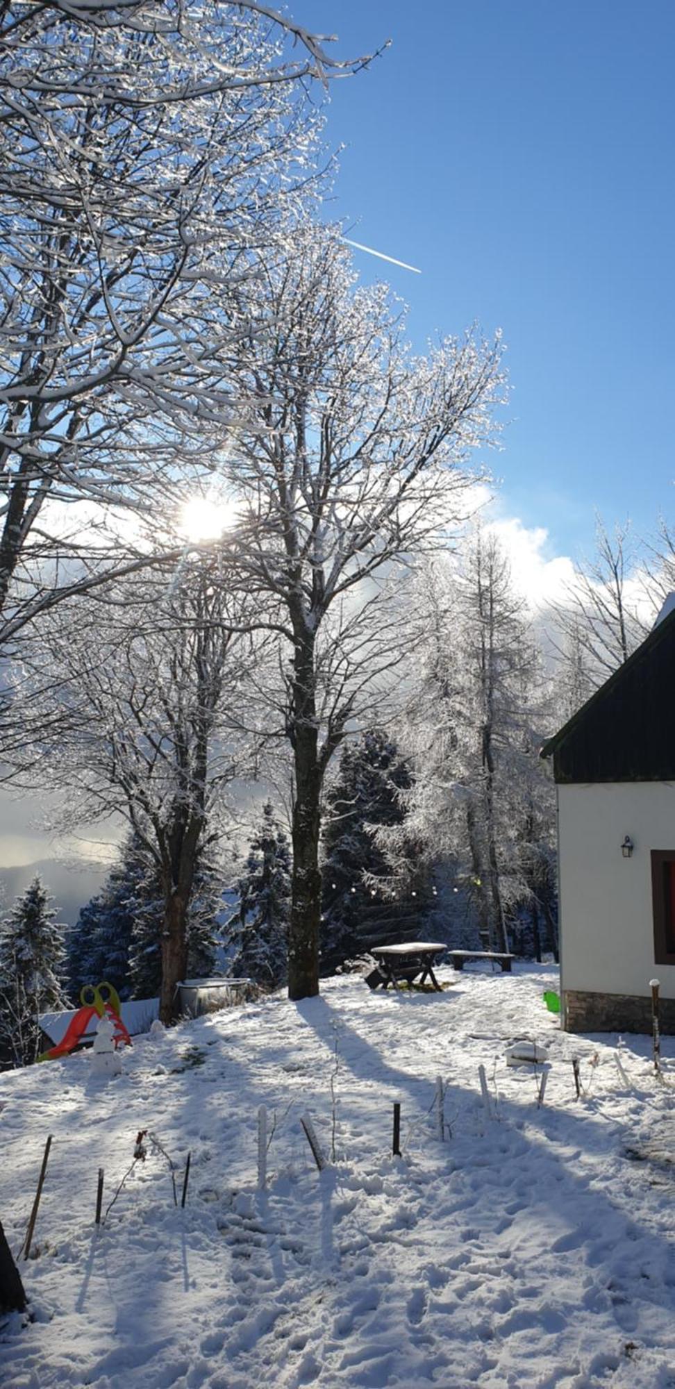 Five Maple Home For Families And Wild Nature Lovers Medenec Eksteriør bilde