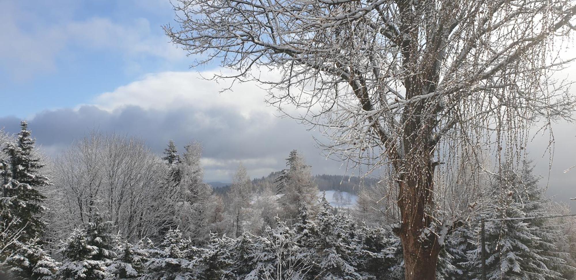 Five Maple Home For Families And Wild Nature Lovers Medenec Eksteriør bilde